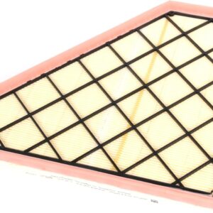 ACDelco GM Air Filter A3185C (22844634)