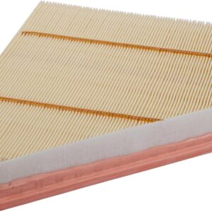 ACDelco GM Air Filter A3178C (20857930)