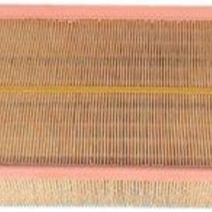 ACDelco GM OE Air Filter A3146C - Genuine OEM Part