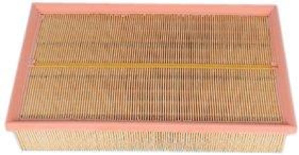 ACDelco GM OE Air Filter A3146C - Genuine OEM Part
