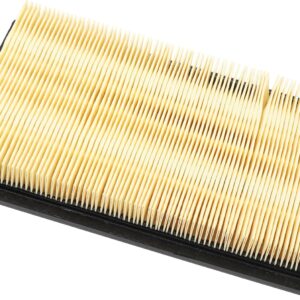ACDelco GM Air Filter A1279C (25161977)
