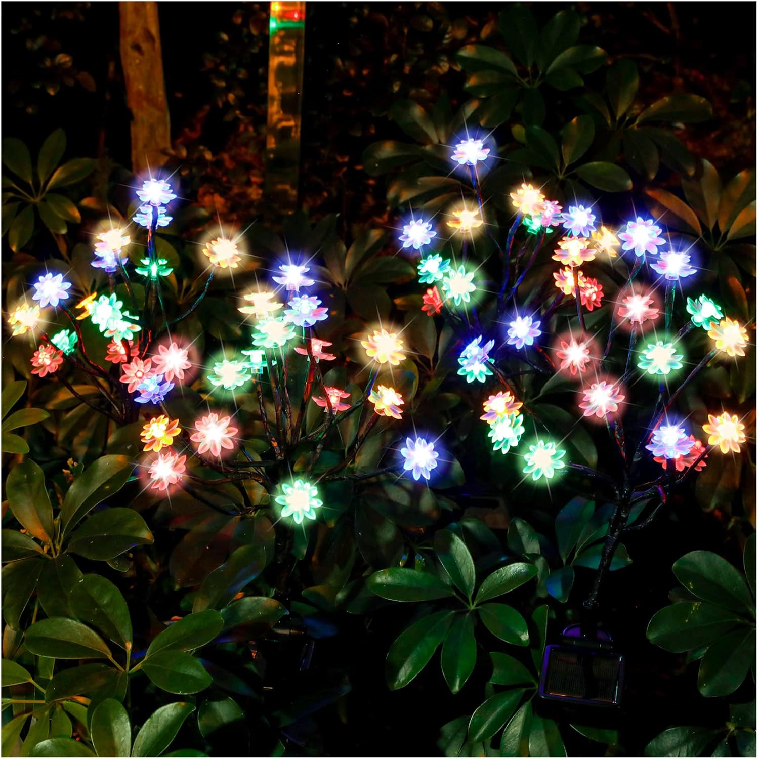 TONULAX Solar Garden Lights - 2 Pack, Bright Outdoor Decor