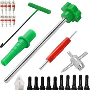 BOJIAN 23PC Tire Valve Stem Tool Kit - Quick Change Kit