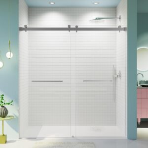 68-72in Double Sliding Shower Door, 10mm Glass