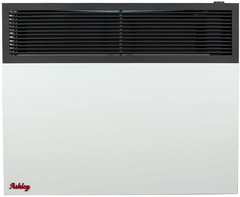 Ashley Hearth Dual Fuel Wall Heater 25,000 BTU