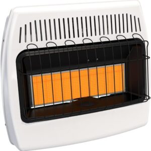 30,000 BTU Dual Fuel Wall Heater - No Vent Needed