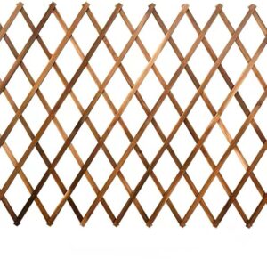 Expandable Wooden Garden Fence for Privacy & Decor