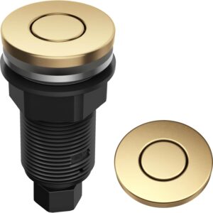 KRAUS Brushed Brass Garbage Disposal Air Switch Button