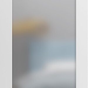 SARTODOORS Planum 2102 Interior French Slab Door, White 36x96