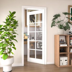 White French Interior Door Slab 30"x80" - 10-Lite Glass