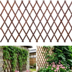 38" x 89" Wooden Trellis for Climbing Plants, Brown
