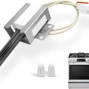 LG Gas Oven Igniter Replacement by Jolipoir