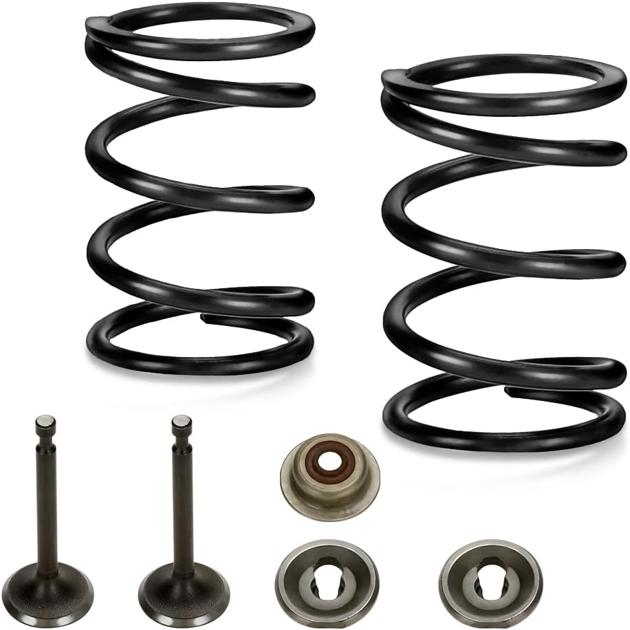 FVRITO 18lb Valve Springs Kit for 212cc Engines
