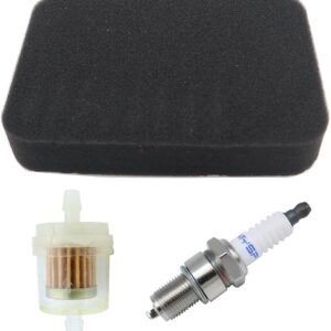 17211-899-000 Spark Plug Fuel Filter for Honda Generators