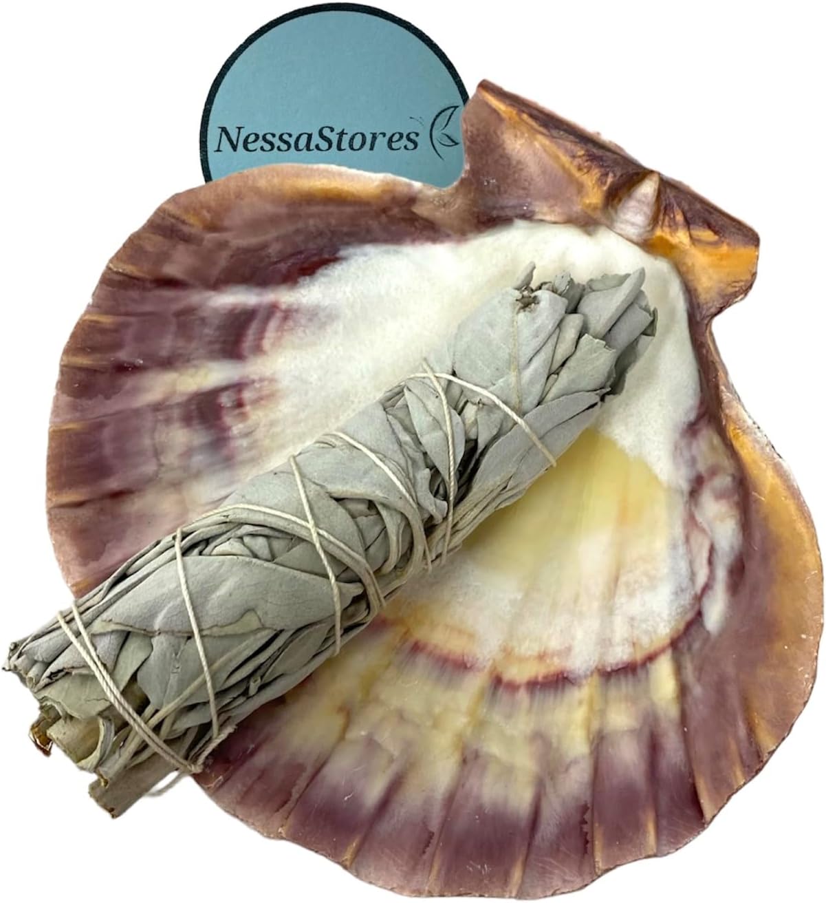 NessaStores Sage Smudge Kit with White Sage & Seashell
