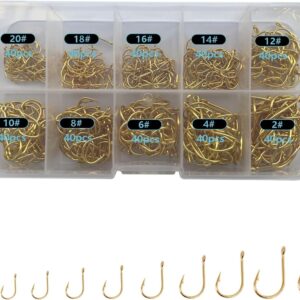 Dyxssm Fishing Hooks Set - 1000pcs Freshwater Hooks #2-#20