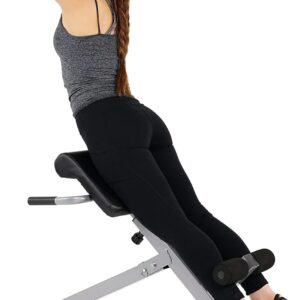 Sunny Health Roman Chair w/ Dip Station, Adjustable Gym Equipment