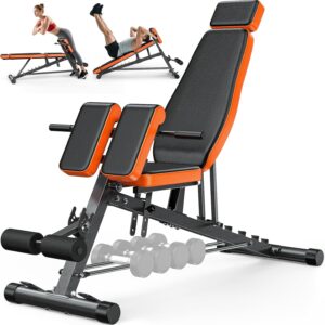 XDDIAS Roman Chair - 1000LBS Adjustable Weight Bench