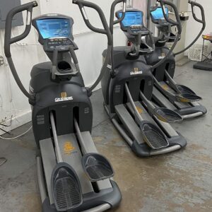 Octane Pro4700 Elliptical Trainer