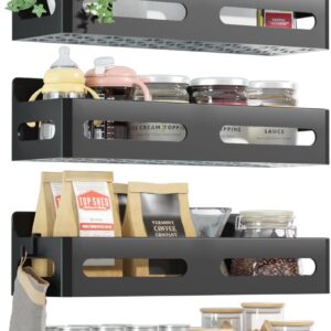 Sevenblue 4-Pack Magnetic Spice Rack, Black - Organize Fridge & More