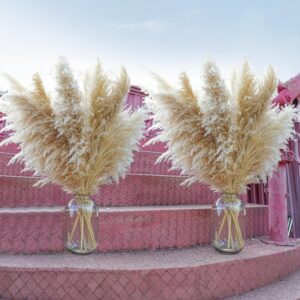 40pcs 40" Tall Pampas Grass Decor - Elegant Floral Plumes
