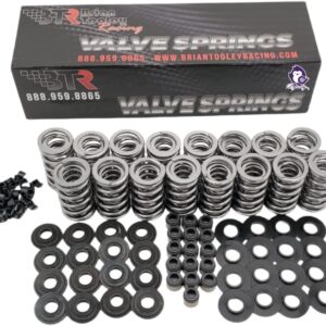 Dynosty BTR LS .660" Dual Valve Springs Kit