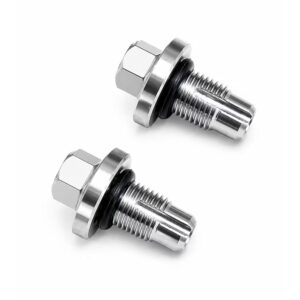 Stainless Bleeder Screw Kit for Audi 3.0L Supercharged V6