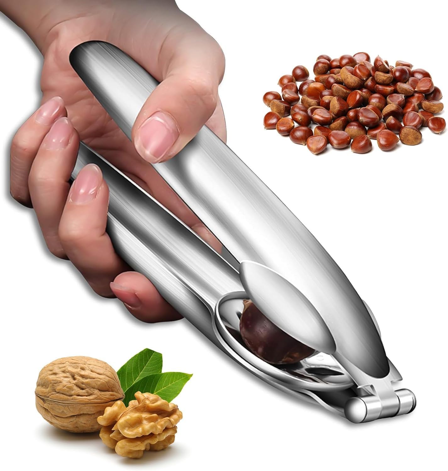Hoxxu Stainless Steel Chestnut Cutter Tool