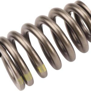 GM Genuine Parts 12706568 Valve Spring for GM Vehicles