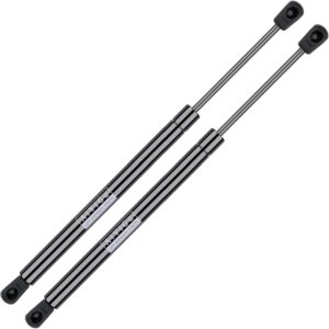 Dodge Ram Hood Struts 2002-2010, Pack of 2