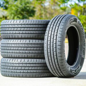 Evoluxx Capricorn HP Tires - Set of 4 (235/60R17)