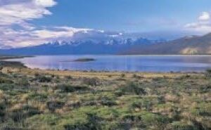 Stunning Mt. Fitz Roy River Poster - 18x7, Premium Quality