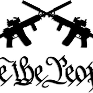 AR-15 Crossed Guns Vinyl Decal - We The People