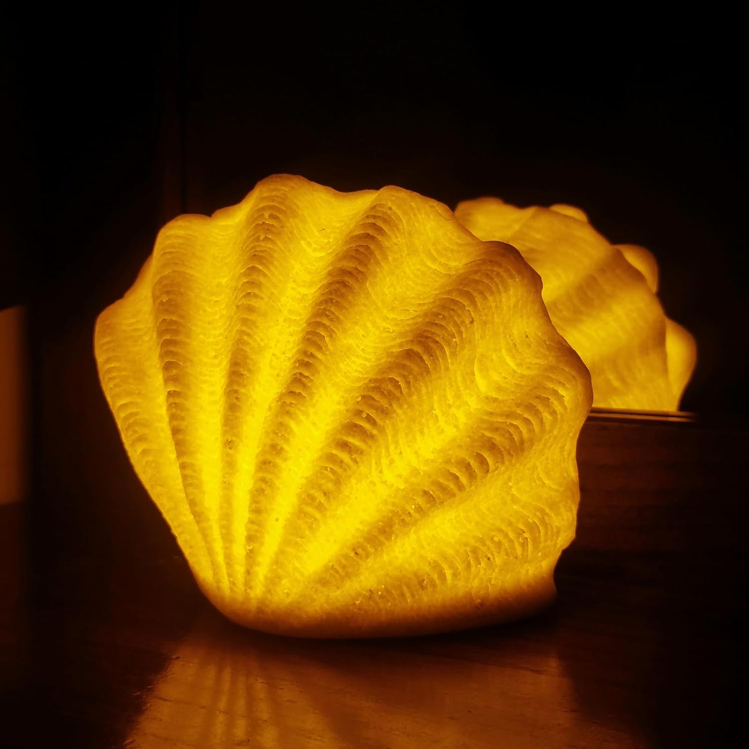 Ocean Lamp with Shell Design & LED Light