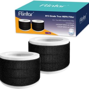 Flintar EPI810 Replacement Filter (2-Pack)