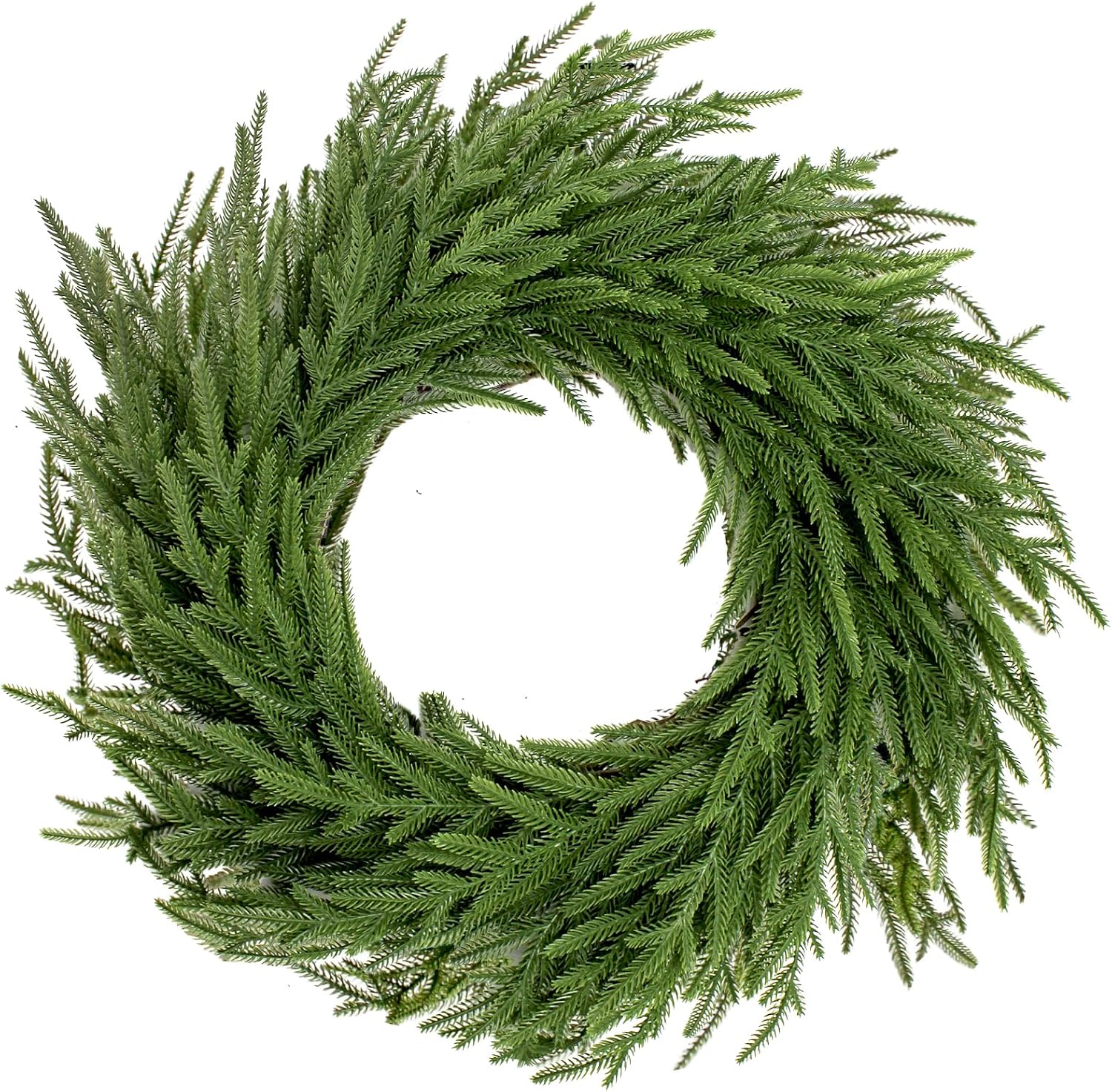 24" Norfolk Pine Christmas Wreath - Farmhouse Holiday Decor