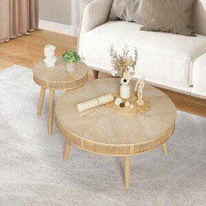 Wnutrees Farmhouse Coffee Table Set (2-Pack)
