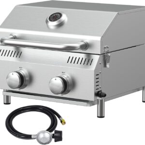 Bestfire 2-Burner Propane Grill, 20K BTU Stainless Steel