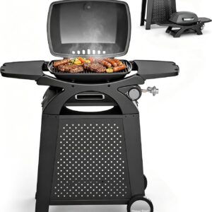 MASTER COOK 11,500 BTU Propane Grill, Portable Tabletop BBQ