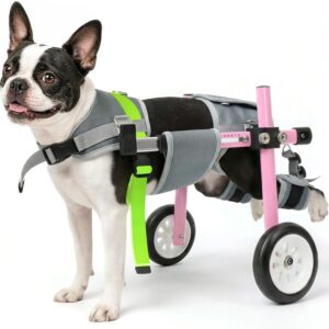 Adjustable Dog Wheelchair for Back Leg Support - LetPetRun