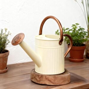 Bamworld Watering Can 0.5 Gal Stainless Steel Creamy White