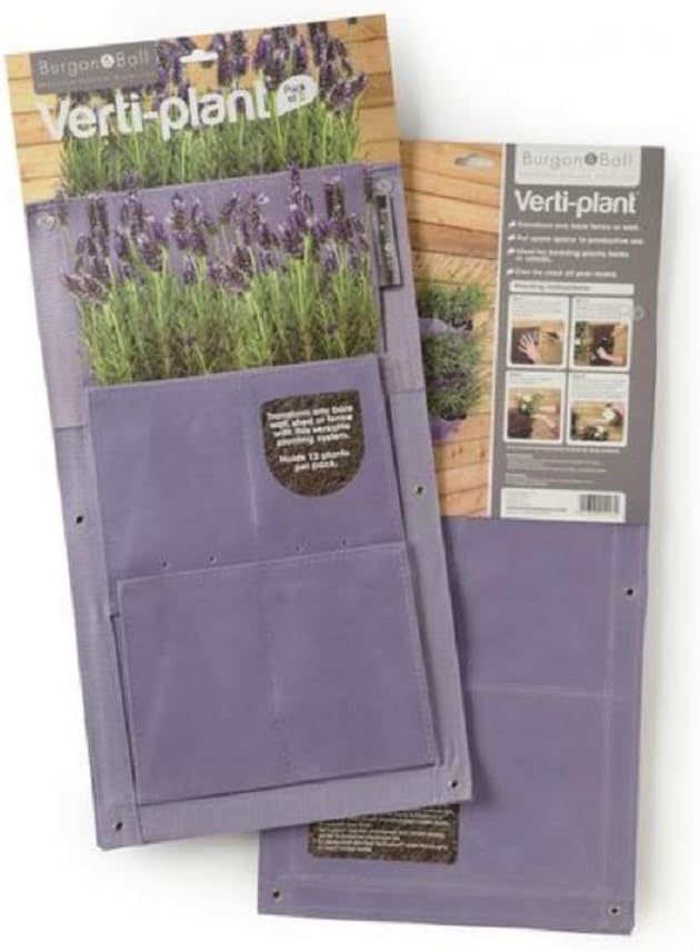Burgon & Ball Lavender Planter Set - 2-Pack