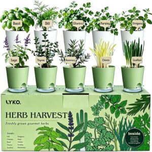 10-Piece Herb Garden Kit - Complete Indoor Starter Set