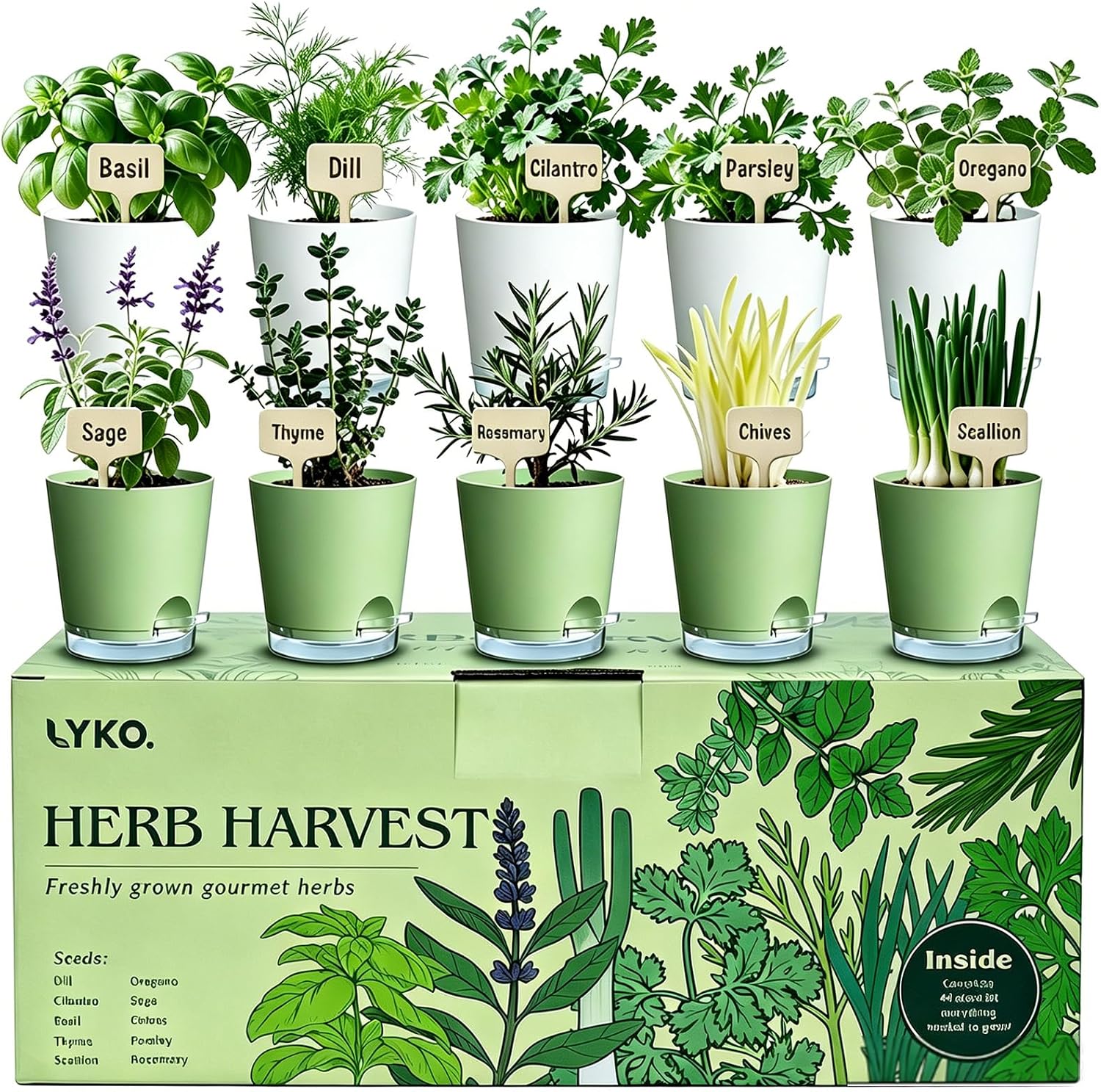 10-Piece Herb Garden Kit - Complete Indoor Starter Set