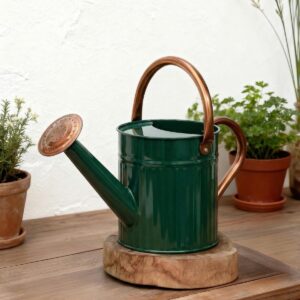 Bamworld Stainless Steel Watering Can 1/2 Gal, Deep Green