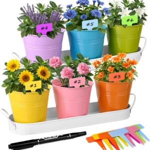 6-Piece Indoor Herb Garden Set with Drainage - USNMP