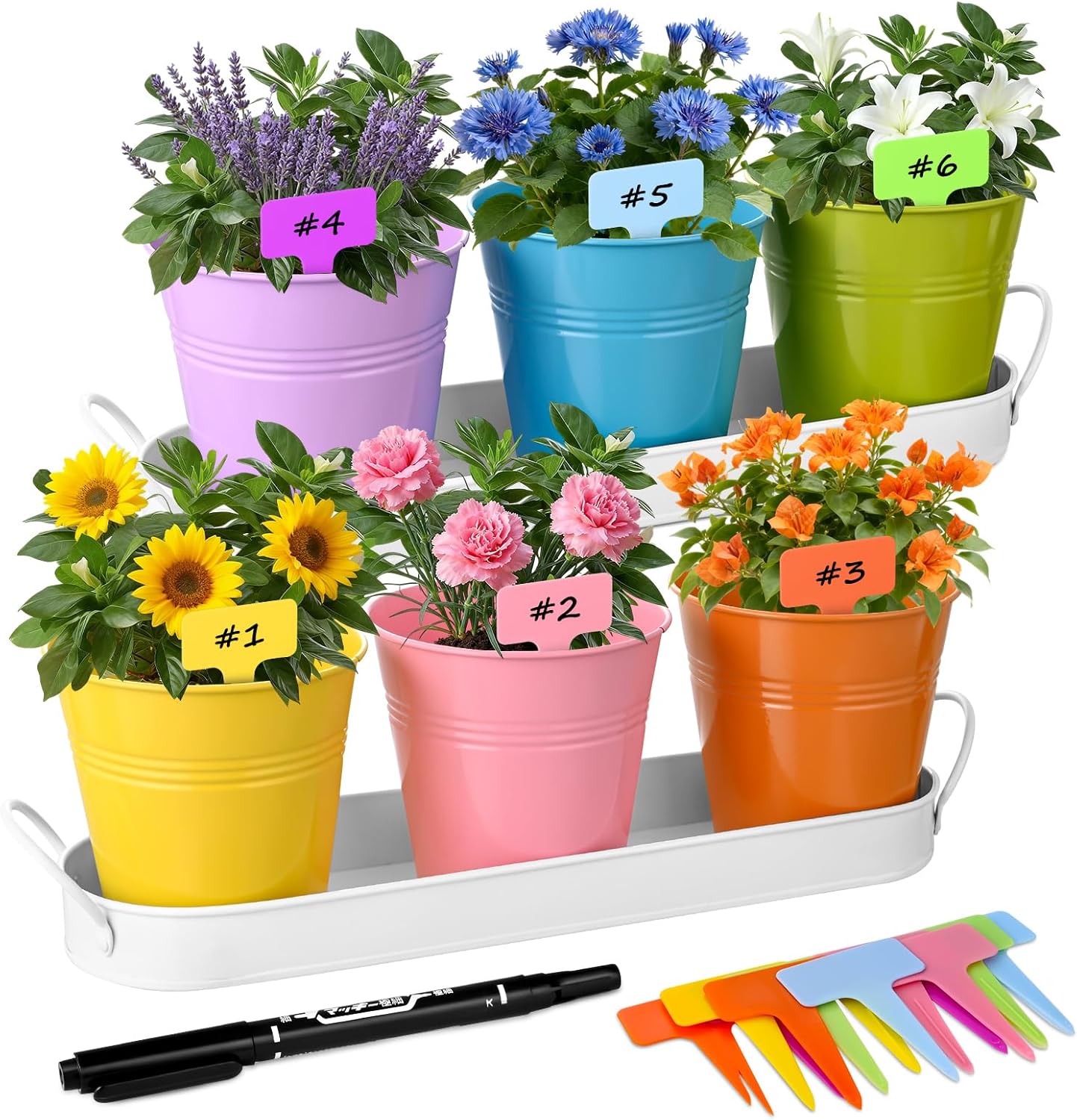 6-Piece Indoor Herb Garden Set with Drainage - USNMP