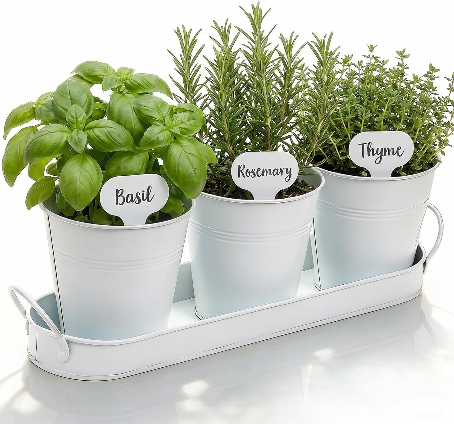 Hiceeden 3-Piece White Herb Garden Planter Set