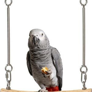 Pecirvoli Parrot Swing, Wild Pear Wood for Medium Birds