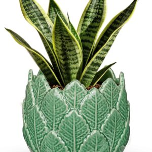 Hollyone 6in Leaf Ceramic Planter, Green
